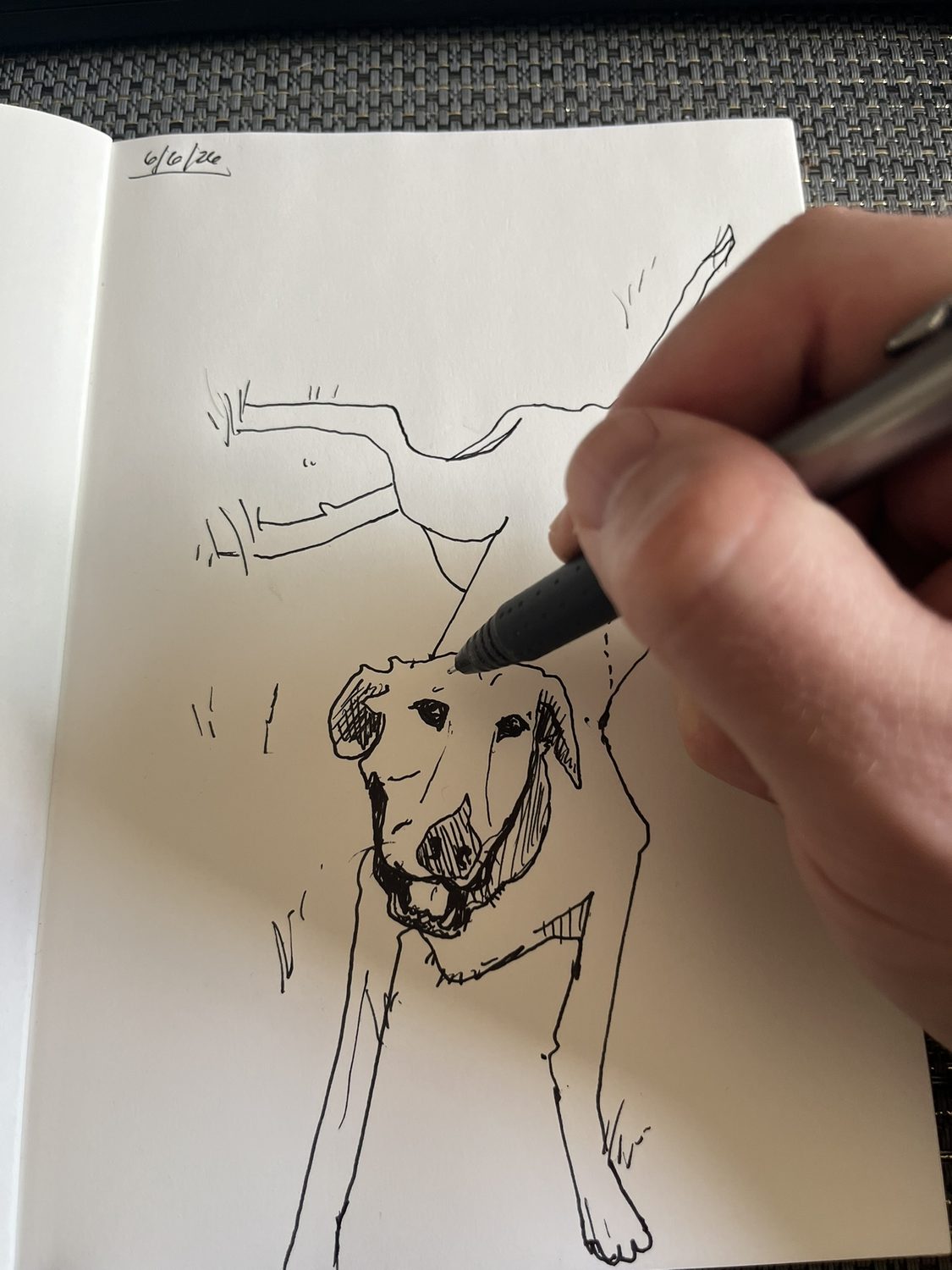 A loose ink line-drawing of a dog in an open sketchbook, looking up toward the viewer with its mouth open. The artist's hand still rests on the page holding a pen, and the top corner is dated 6/6/26.